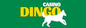 Casino Dingo