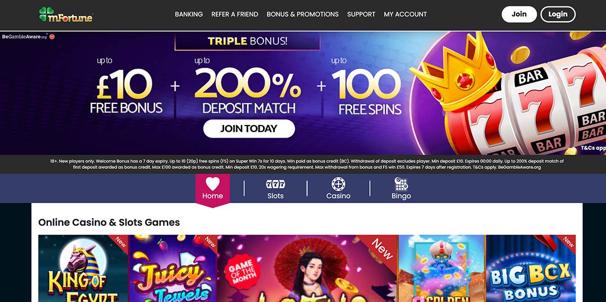 Mr Fortune Casino Review
