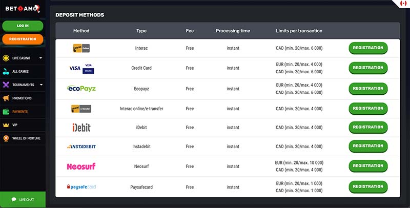 Betamo Casino Payment Methods