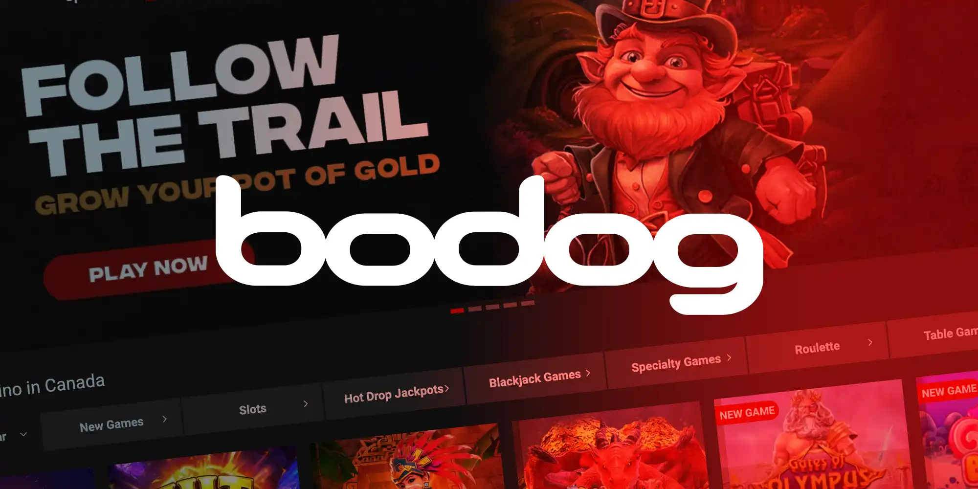 Bodog Casino of the Month