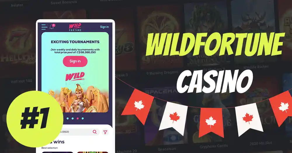 Wildfortune - Best Casino that Accepts Google Pay